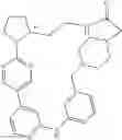 Fig. 482 - MACROCYLIC PYRIDINE DERIVATIVES