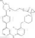 Fig. 485 - MACROCYLIC PYRIDINE DERIVATIVES