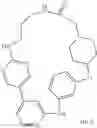 Fig. 498 - MACROCYLIC PYRIDINE DERIVATIVES