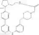 Fig. 499 - MACROCYLIC PYRIDINE DERIVATIVES