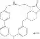 Fig. 500 - MACROCYLIC PYRIDINE DERIVATIVES