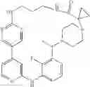 Fig. 505 - MACROCYLIC PYRIDINE DERIVATIVES