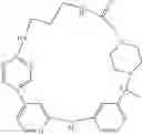 Fig. 506 - MACROCYLIC PYRIDINE DERIVATIVES