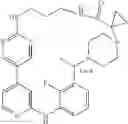 Fig. 507 - MACROCYLIC PYRIDINE DERIVATIVES