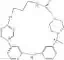 Fig. 508 - MACROCYLIC PYRIDINE DERIVATIVES