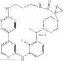 Fig. 509 - MACROCYLIC PYRIDINE DERIVATIVES