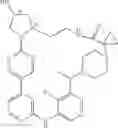 Fig. 519 - MACROCYLIC PYRIDINE DERIVATIVES