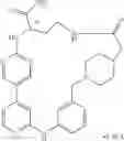 Fig. 522 - MACROCYLIC PYRIDINE DERIVATIVES