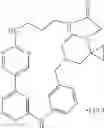 Fig. 526 - MACROCYLIC PYRIDINE DERIVATIVES