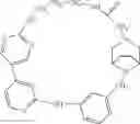 Fig. 534 - MACROCYLIC PYRIDINE DERIVATIVES