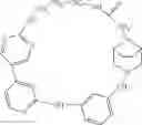 Fig. 538 - MACROCYLIC PYRIDINE DERIVATIVES