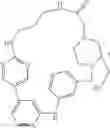Fig. 542 - MACROCYLIC PYRIDINE DERIVATIVES