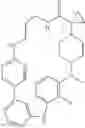 Fig. 555 - MACROCYLIC PYRIDINE DERIVATIVES