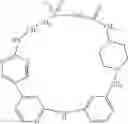 Fig. 574 - MACROCYLIC PYRIDINE DERIVATIVES