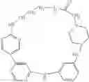 Fig. 576 - MACROCYLIC PYRIDINE DERIVATIVES
