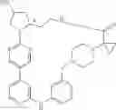 Fig. 583 - MACROCYLIC PYRIDINE DERIVATIVES