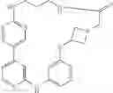 Fig. 589 - MACROCYLIC PYRIDINE DERIVATIVES
