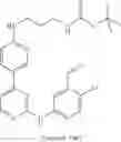 Fig. 170 - Macrocylic pyrimidine derivatives