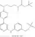 Fig. 229 - Macrocylic pyrimidine derivatives