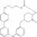 Fig. 528 - Macrocylic pyrimidine derivatives