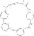 Fig. 547 - Macrocylic pyrimidine derivatives
