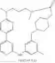 Fig. 570 - Macrocylic pyrimidine derivatives