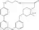 Fig. 613 - Macrocylic pyrimidine derivatives