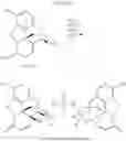 Fig. 35 - Process for improved oxymorphone synthesis