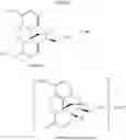 Fig. 07 - Process for improved oxycodone synthesis