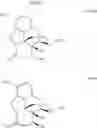 Fig. 15 - Process for improved oxycodone synthesis
