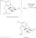 Fig. 16 - Process for improved oxycodone synthesis