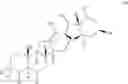 Fig. 131 - Cyclopamine analogs