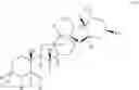 Fig. 22 - Cyclopamine analogs