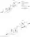 Fig. 49 - Cyclopamine analogs