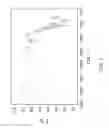 Fig. 03 - Crystallization method and bioavailability