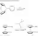 Fig. 10 - Ferrocene-based compounds and palladium catalysts based thereon for the alkoxycarbonylation of ethylenically unsaturated compounds