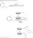 Fig. 11 - Ferrocene-based compounds and palladium catalysts based thereon for the alkoxycarbonylation of ethylenically unsaturated compounds