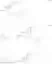 Fig. 14 - Bone-selective osteogenic oxysterol bisphosphonate analogs