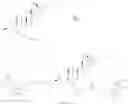 Fig. 24 - Bone-selective osteogenic oxysterol bisphosphonate analogs