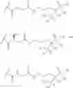 Fig. 48 - Bone-selective osteogenic oxysterol bisphosphonate analogs