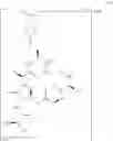 Fig. 151 - Novel Aldehyde Acetal Based Processes for the Manufacture of Macrocyclic Depsipeptides and New Intermediates