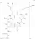 Fig. 187 - Novel Aldehyde Acetal Based Processes for the Manufacture of Macrocyclic Depsipeptides and New Intermediates