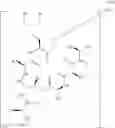 Fig. 20 - Novel Aldehyde Acetal Based Processes for the Manufacture of Macrocyclic Depsipeptides and New Intermediates