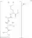 Fig. 33 - Novel Aldehyde Acetal Based Processes for the Manufacture of Macrocyclic Depsipeptides and New Intermediates