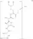 Fig. 37 - Novel Aldehyde Acetal Based Processes for the Manufacture of Macrocyclic Depsipeptides and New Intermediates