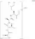 Fig. 40 - Novel Aldehyde Acetal Based Processes for the Manufacture of Macrocyclic Depsipeptides and New Intermediates