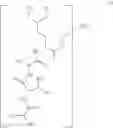 Fig. 41 - Novel Aldehyde Acetal Based Processes for the Manufacture of Macrocyclic Depsipeptides and New Intermediates