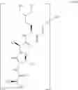Fig. 76 - Novel Aldehyde Acetal Based Processes for the Manufacture of Macrocyclic Depsipeptides and New Intermediates