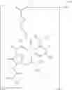 Fig. 89 - Novel Aldehyde Acetal Based Processes for the Manufacture of Macrocyclic Depsipeptides and New Intermediates