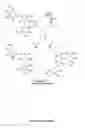 Fig. 07 - CRYSTALLINE INSULIN-CONJUGATES